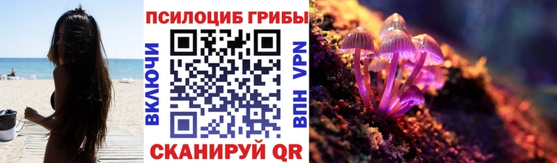 Галлюциногенные грибы ЛСД  сайты даркнета наркотические препараты  Сунжа 