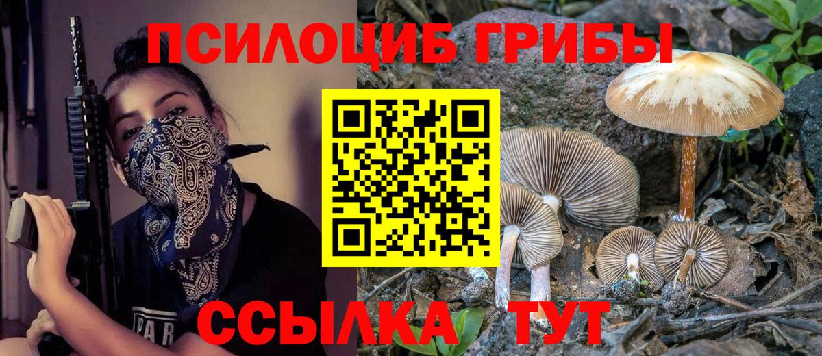 Сунжа  Псилоцибиновые грибы MAGIC MUSHROOMS  Вход с VPN 
