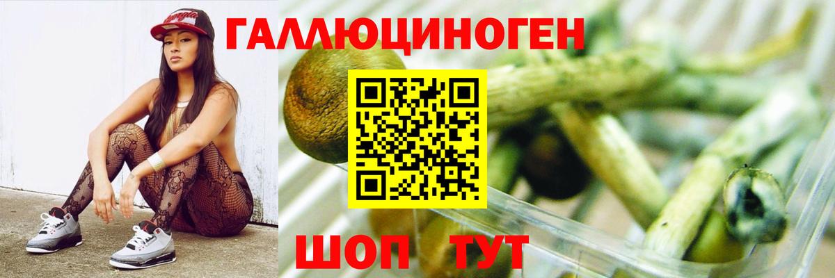 Псилоцибиновые грибы Psilocybine cubensis Сунжа