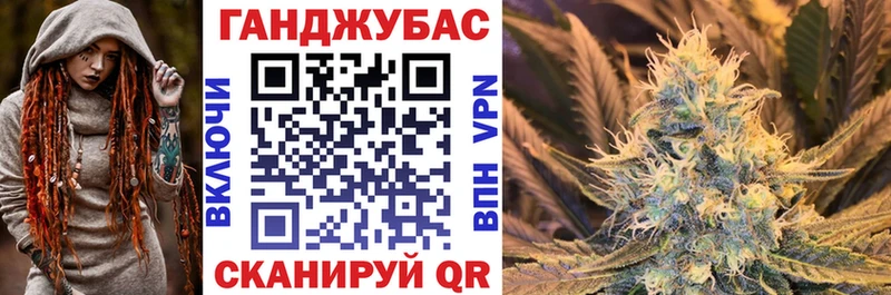 Конопля план  MEGA маркетплейс  Сунжа 